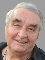 Hasso Stock